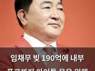 임채무 빚 190억에 내부 폭로까지 아이들 웃음 위해 포기 못 해