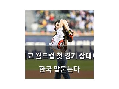 체코 월드컵 첫 경기 상대로 한국 맞붙는다