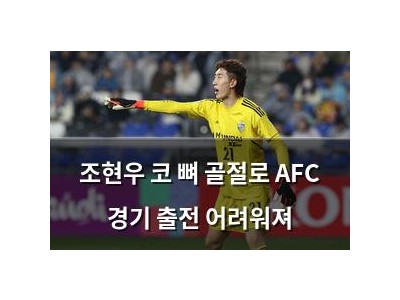 조현우 코 뼈 골절로 AFC 경기 출전 어려워져