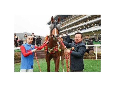 케이닉스로 선발된 씨수말 두 마리가 화제