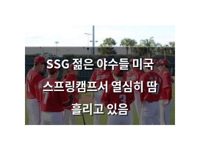 SSG 젊은 야수들 미국 스프링캠프서 열심히 땀 흘리고 있음
