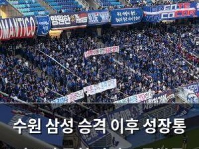 수원 삼성 승격 이후 성장통 겪으며 균형 잡기 고군분투
