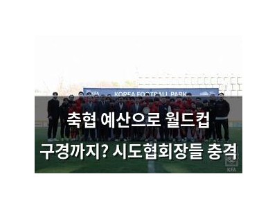 축협 예산으로 월드컵 구경까지? 시도협회장들 충격