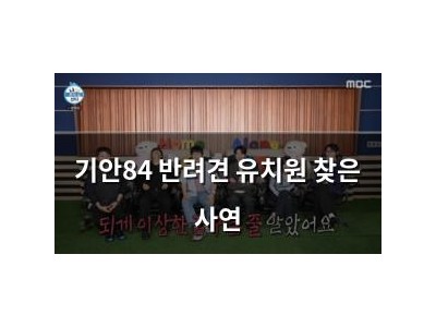 기안84 반려견 유치원 찾은 사연