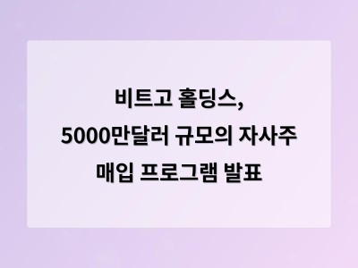 비트고 홀딩스, 5000만달러 규모의 자사주 매입 프로그램 발표 - 홈페이지제작