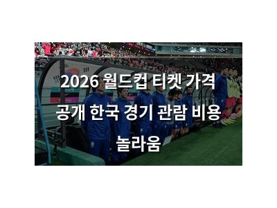2026 월드컵 티켓 가격 공개 한국 경기 관람 비용 놀라움