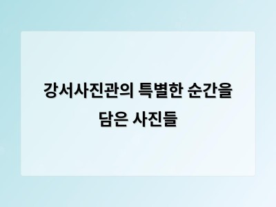 강서사진관의 특별한 순간을 담은 사진들