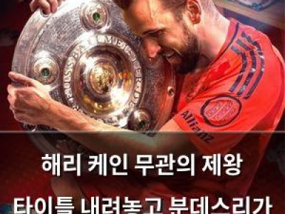 해리 케인 무관의 제왕 타이틀 내려놓고 분데스리가 우승 자축