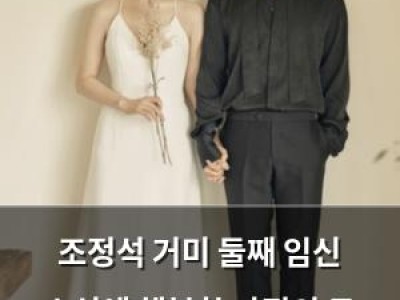 조정석 거미 둘째 임신 소식에 행복한 가정의 두 번째 시작